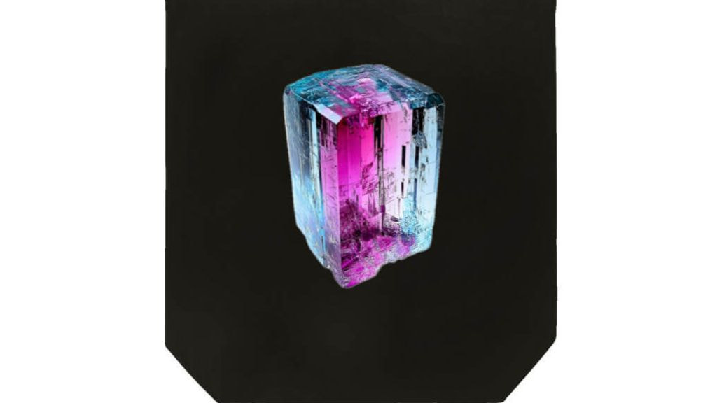 美女フェスに出店するリリアンジェのブースの画像