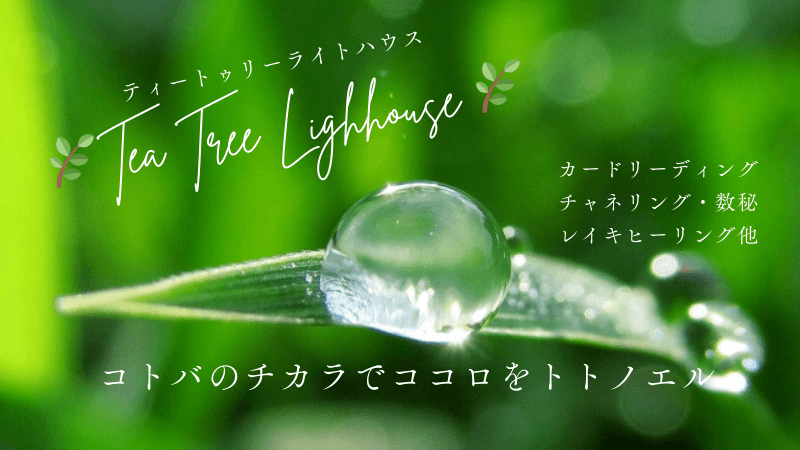 武蔵野美女フェス｜タロット・チャネリング・数秘